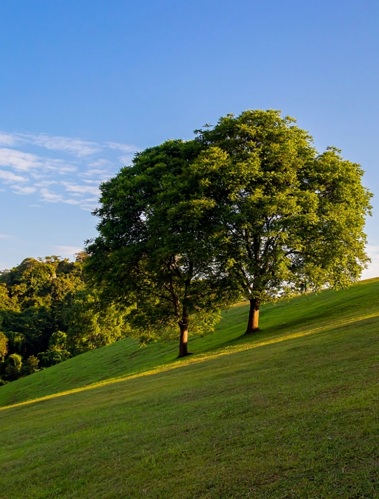 AdobeStock_560326110