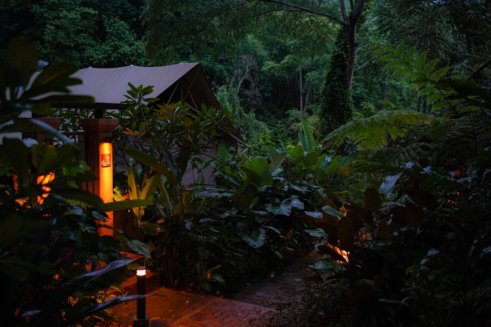 The garden at Visama Explorer Nan at dusk, lamps glowing among the plants